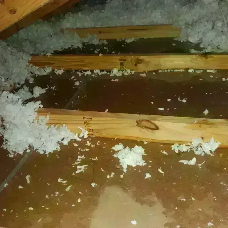 Attic Water Damage in New Lisbon, WI