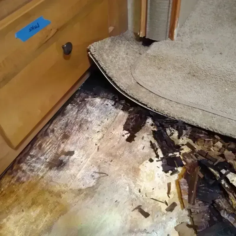 Wood Floor Water Damage in New Lisbon, WI